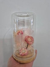 Load image into Gallery viewer, Dried flower Glass Domes