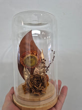 Load image into Gallery viewer, Dried flower Glass Domes