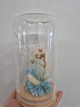 Load image into Gallery viewer, Dried flower Glass Domes