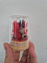 Load image into Gallery viewer, Dried flower Glass Domes