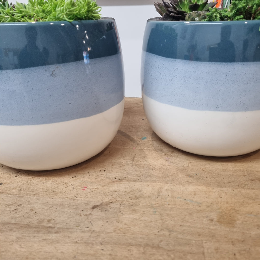 Succulent and Cacti pots