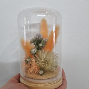 Dried flower Glass Domes