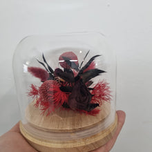 Load image into Gallery viewer, Dried flower Glass Domes