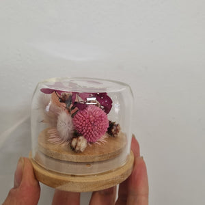 Dried flower Glass Domes