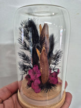 Load image into Gallery viewer, Dried flower Glass Domes