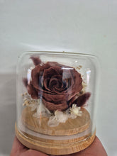 Load image into Gallery viewer, Dried flower Glass Domes