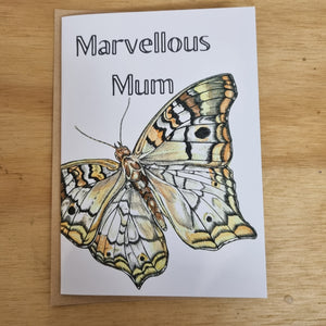 Mixed Greeting Cards