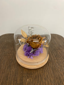 Dried flower Glass Domes