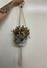 Load image into Gallery viewer, Macramé Plant Hangers