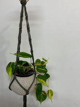 Load image into Gallery viewer, Macramé Plant Hangers