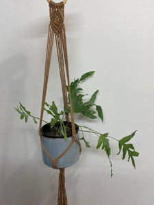 Macramé Plant Hangers