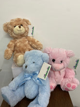 Load image into Gallery viewer, Teddy Bears