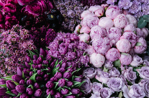 Mothers day Florist Choice